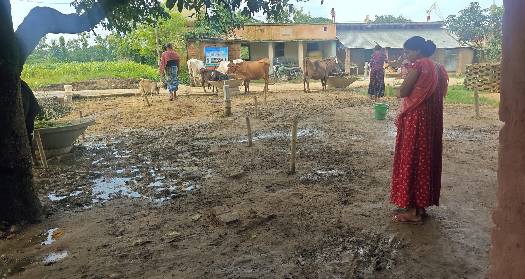 Bhagalpur, Bihar