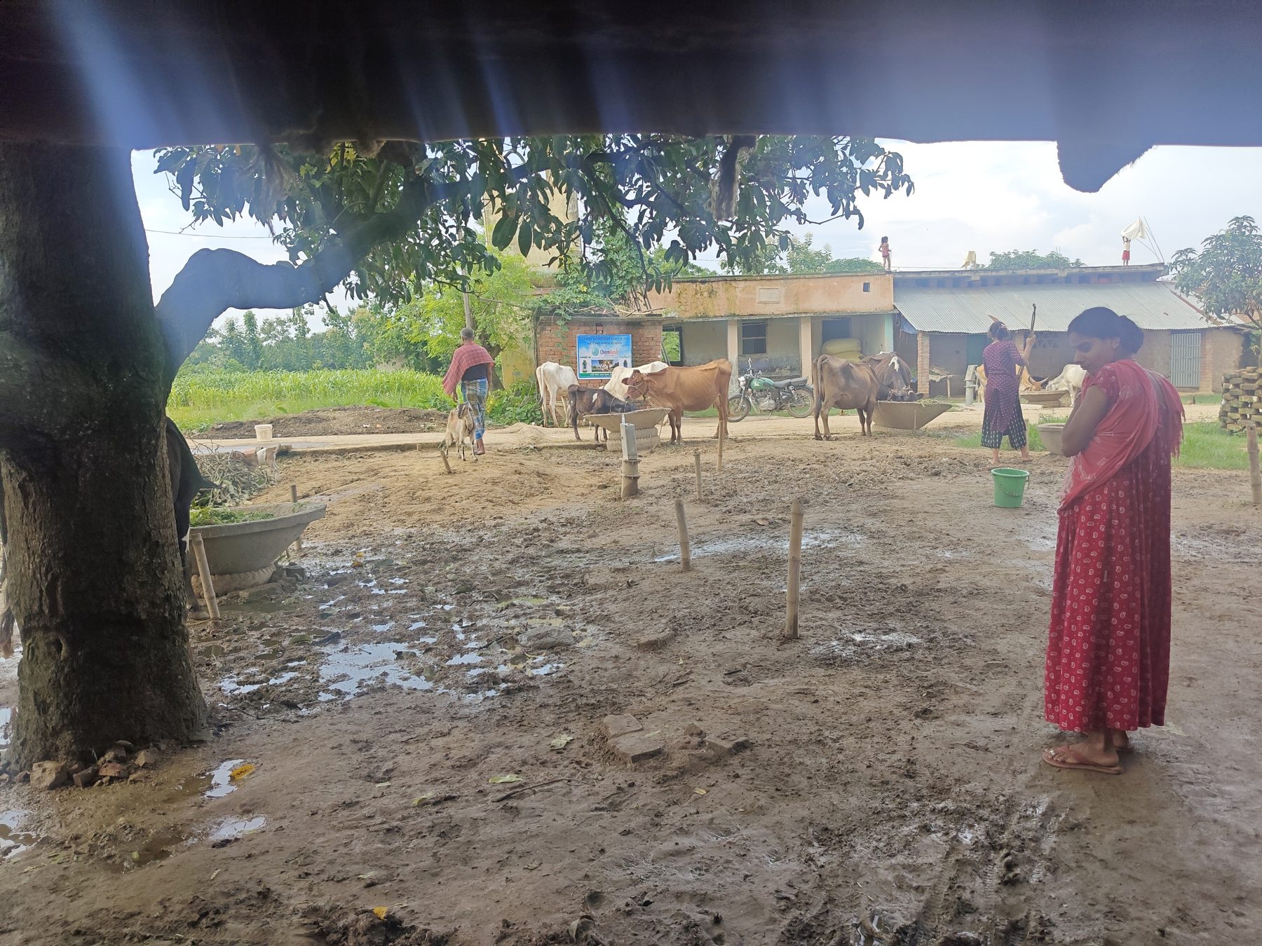 Bhagalpur, Bihar