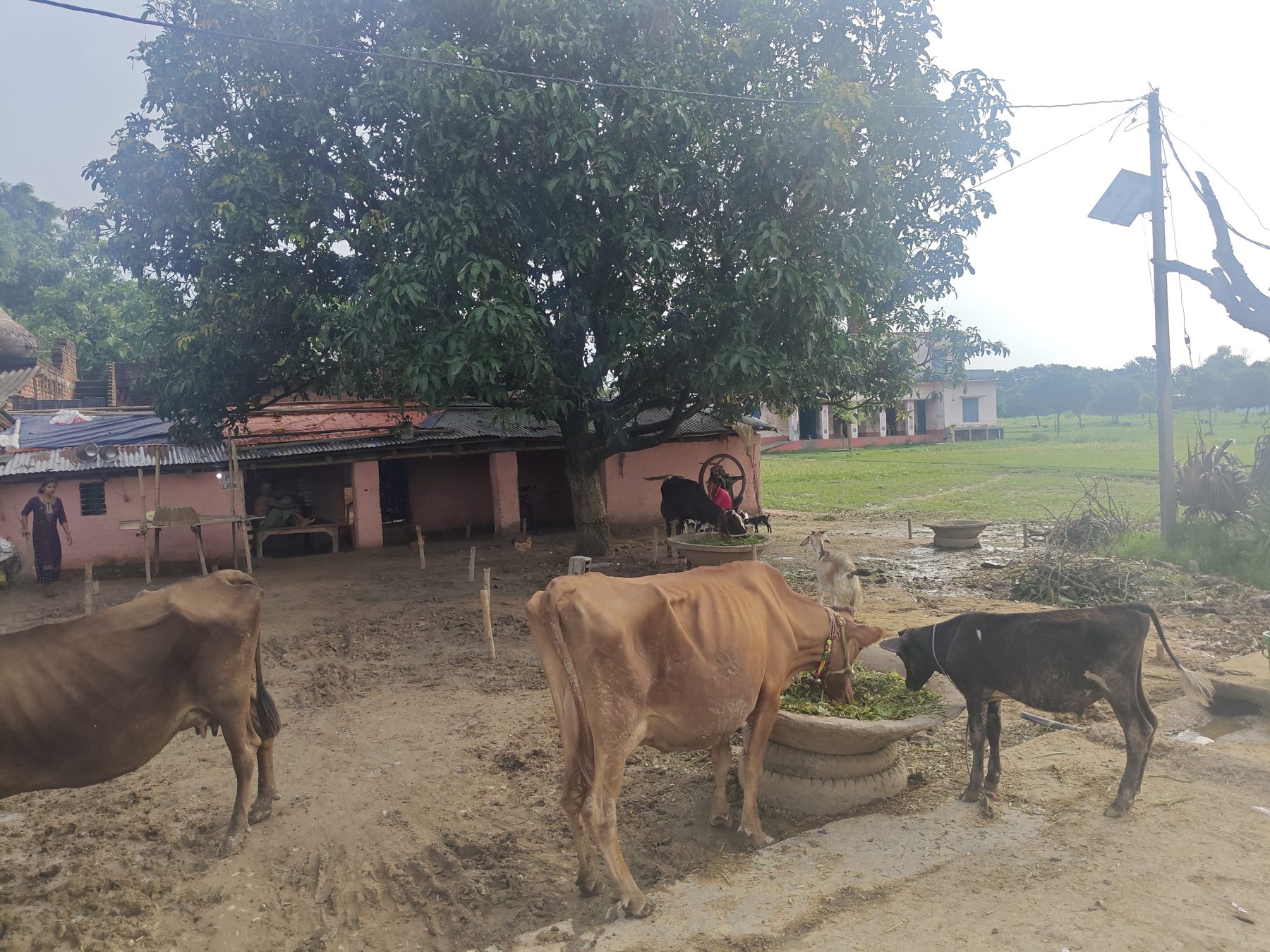 Bhagalpur, Bihar
