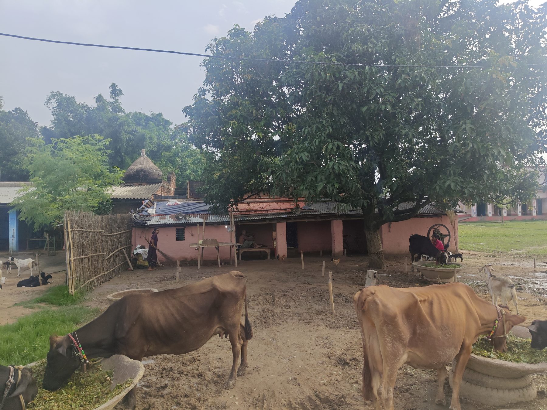 Sila Devi's House in Sidhari
